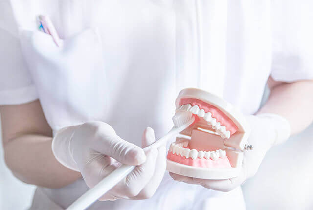 歯の模型を用いて歯みがきの指導を行う歯科衛生士