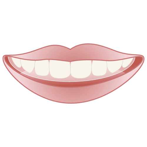 エステティック加工